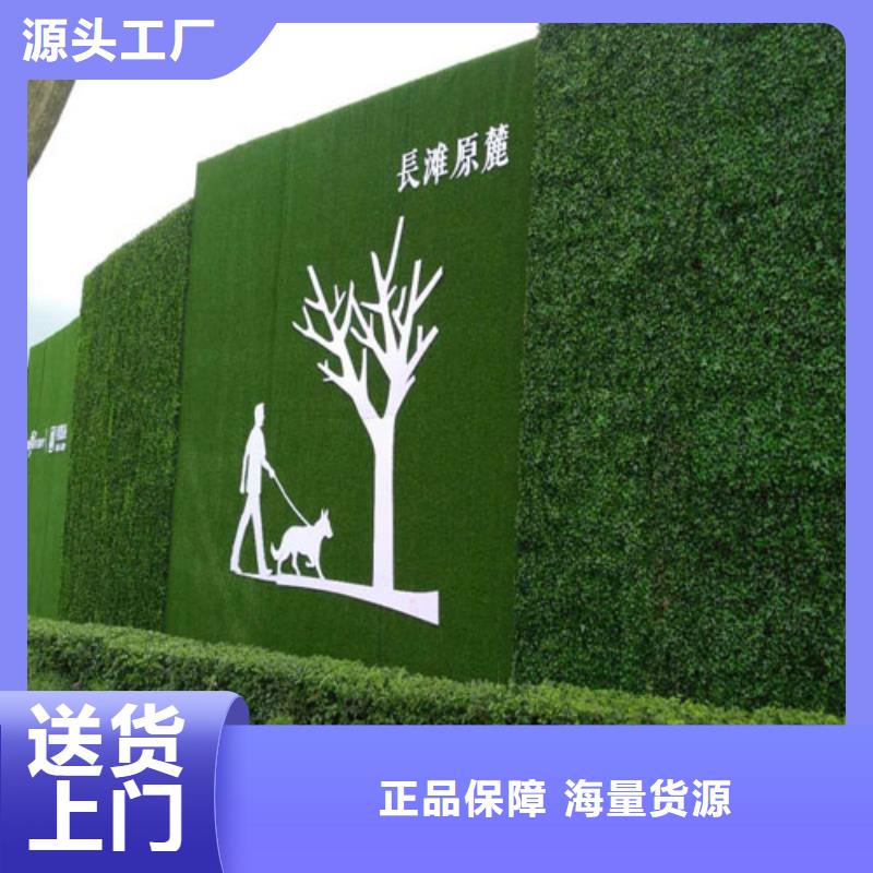 围挡草坪-草坪围挡商家直供诚信商家