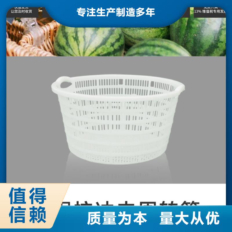 塑料筐-分类垃圾桶品质可靠当地品牌