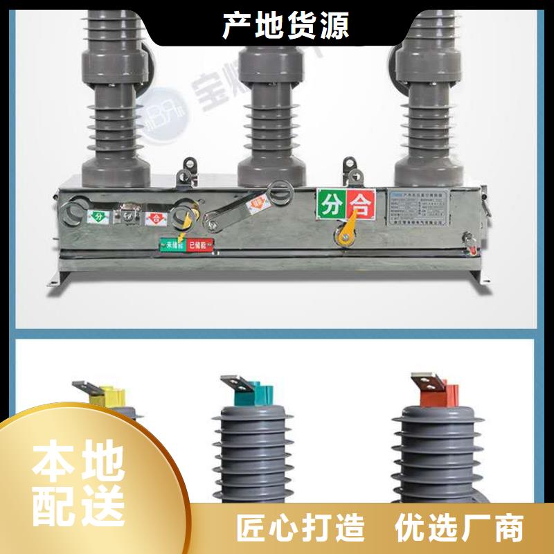 【真空断路器HY5WS-17/50避雷器用品质赢得客户信赖】本地厂家