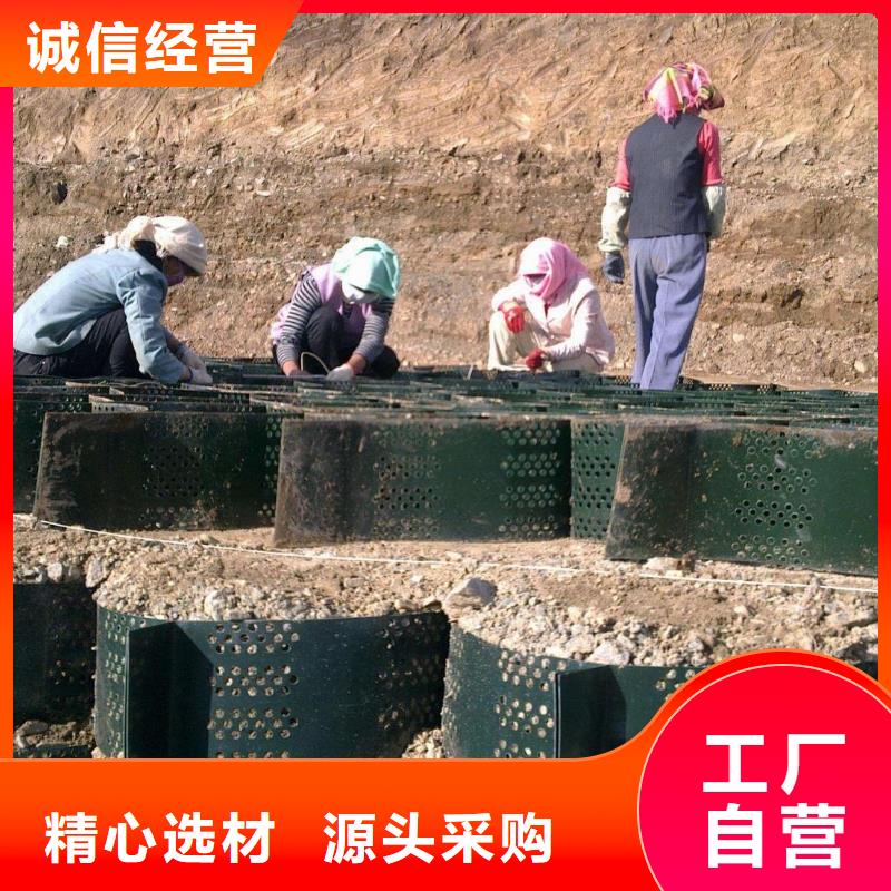 土工格室-双向塑料土工格栅无中间商厂家直销大厂家实力看得见