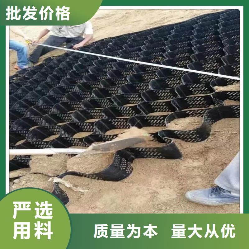 土工格室-【双向拉伸塑料格栅】厂家直销大量现货生产经验丰富