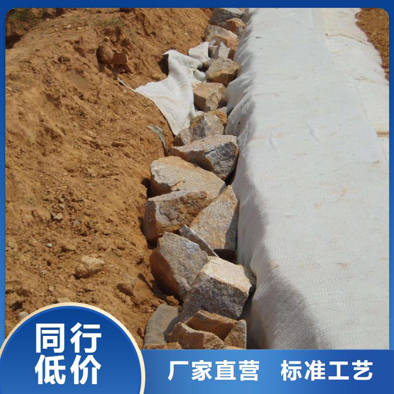 【膨润土防水毯】塑料土工滤网市场报价匠心工艺