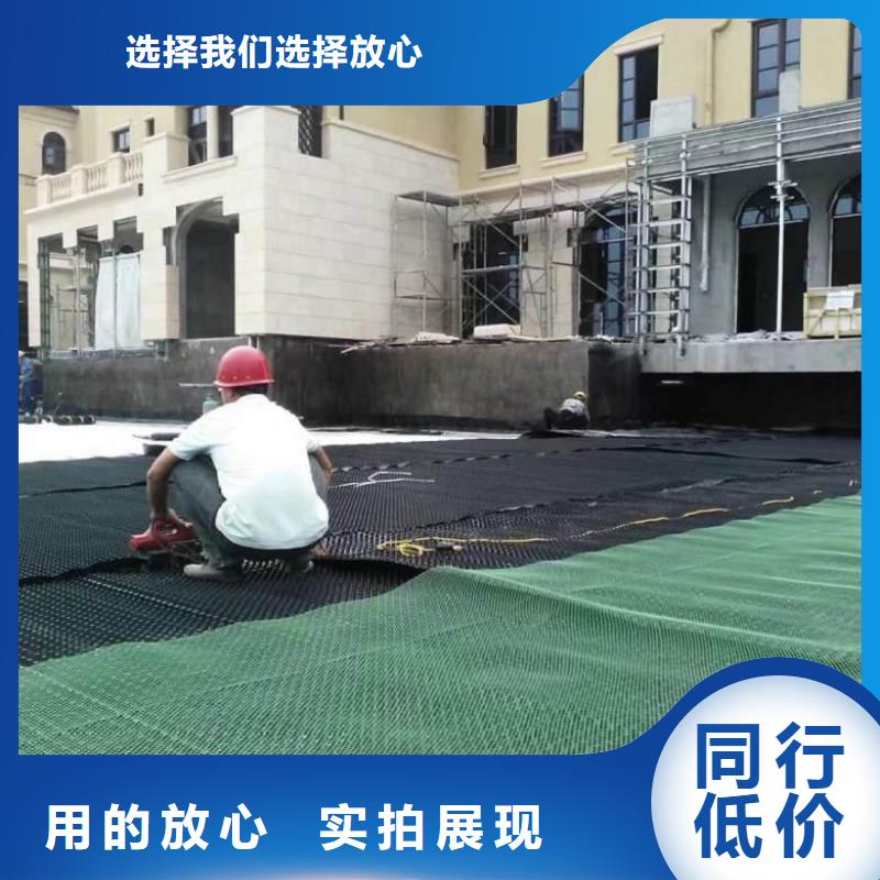 【排水板单向塑料土工格栅型号全价格低】工厂批发