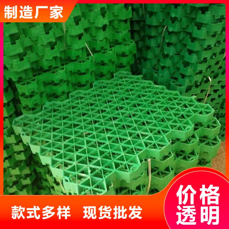 植草格_【土工格室】正品保障用好材做好产品