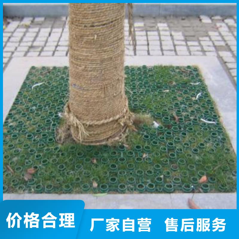 植草格短丝土工布从源头保证品质<本地>公司