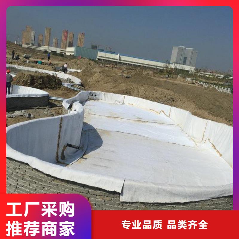 膨润土防水毯养殖膜技术先进当地供应商