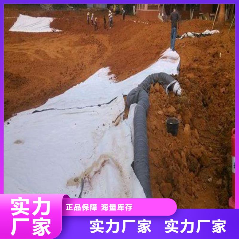 【膨润土防水毯-钢塑土工格栅细节严格凸显品质】<本地>生产厂家