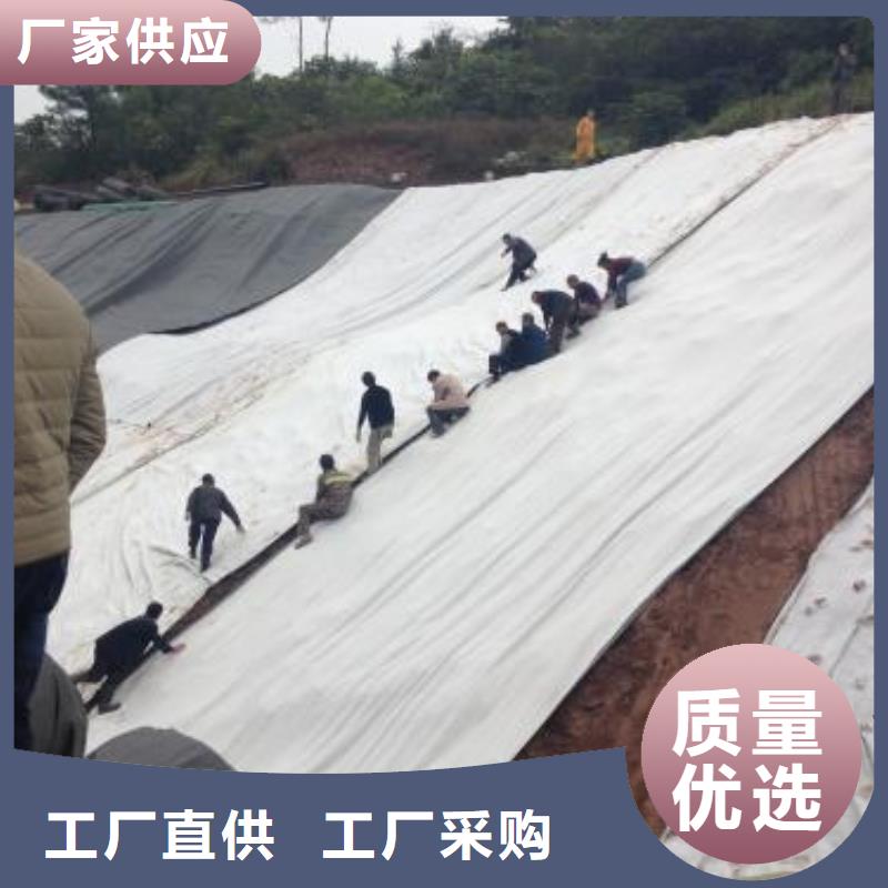 膨润土防水毯塑料土工格栅就近发货专业生产厂家