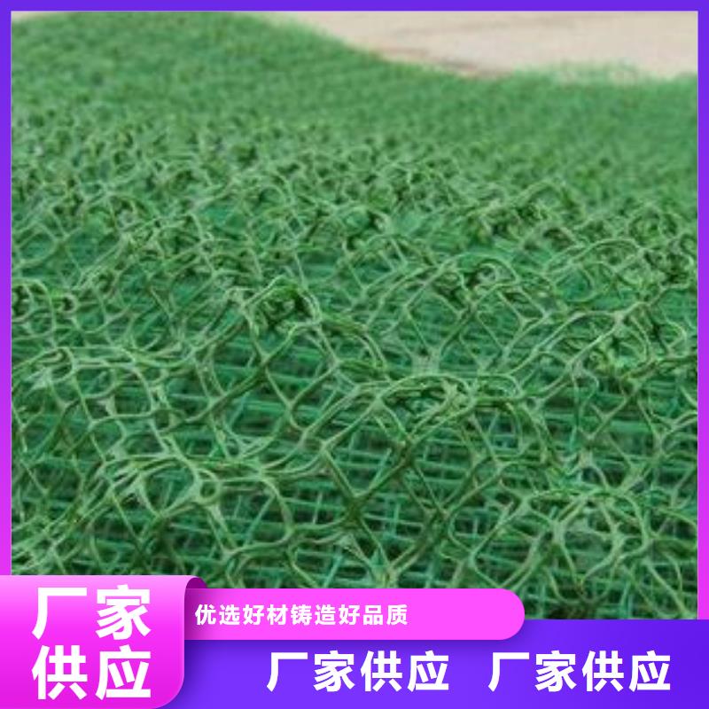 三维植被网【HDPE土工膜】标准工艺【本地】生产厂家