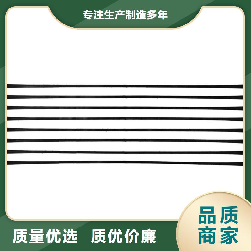 单向拉伸塑料格栅玻纤格栅欢迎新老客户垂询【本地】品牌