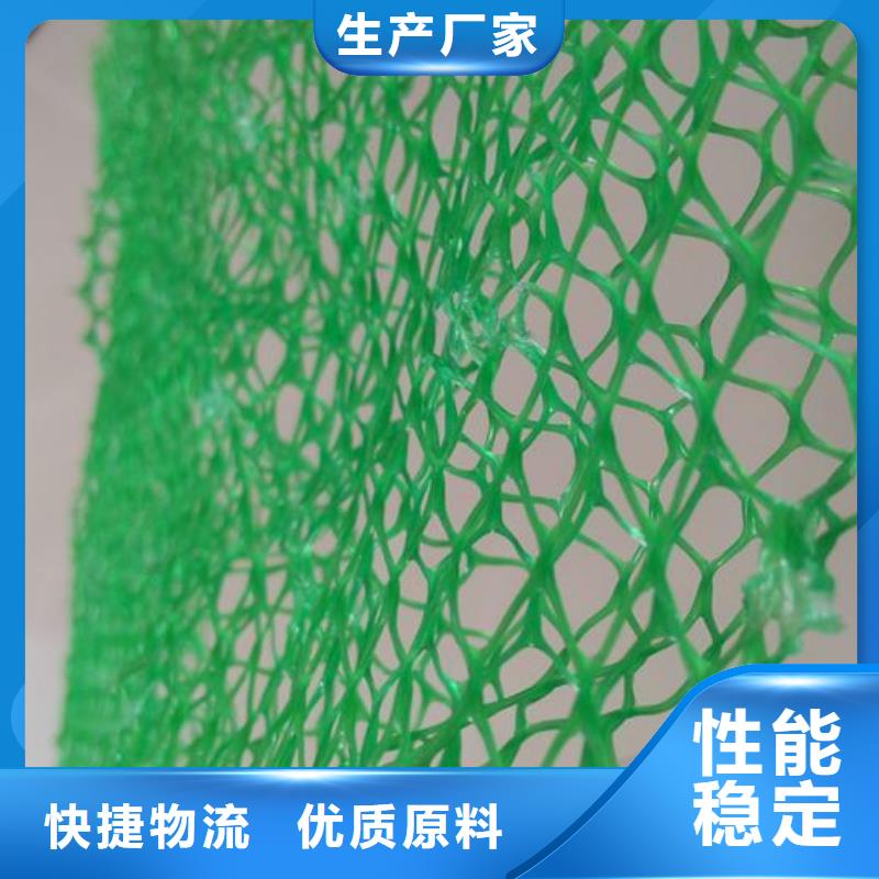 三维植被网【钢塑土工格栅】厂家销售同城制造商