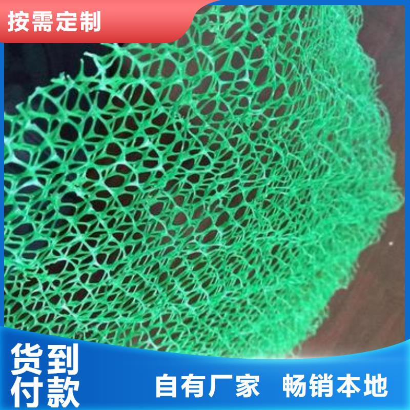 三维植被网涤纶土工格栅的简单介绍一站式采购