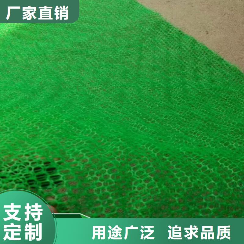 三维植被网三维土工网垫现货齐全售后无忧优质原料