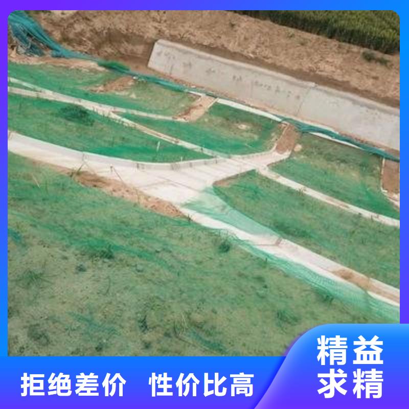 三维植被网双向塑料土工格栅供应商市场行情