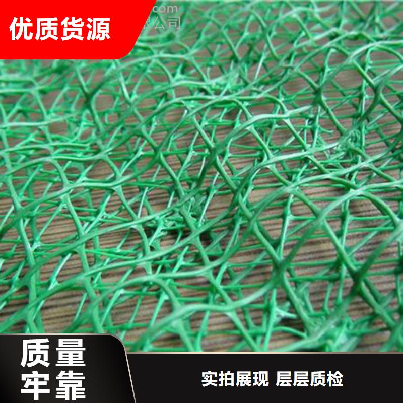 三维植被网-【护坡土工网】专业生产设备{当地}公司