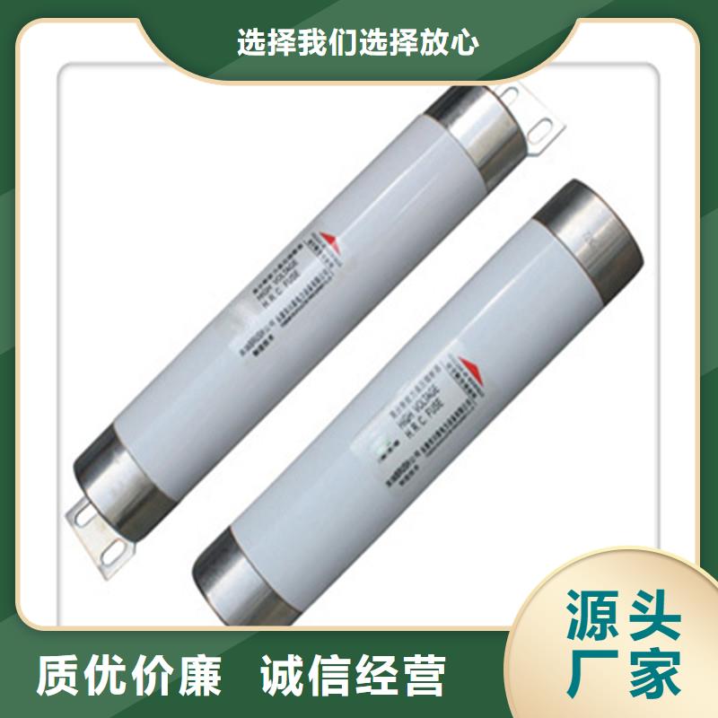 RXWO-35/0.5高压限流熔断器好品质选我们