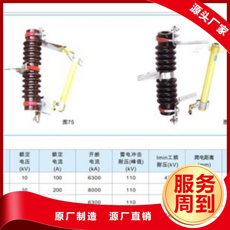 XRNT-12/63A高压限流熔断器【当地】服务商