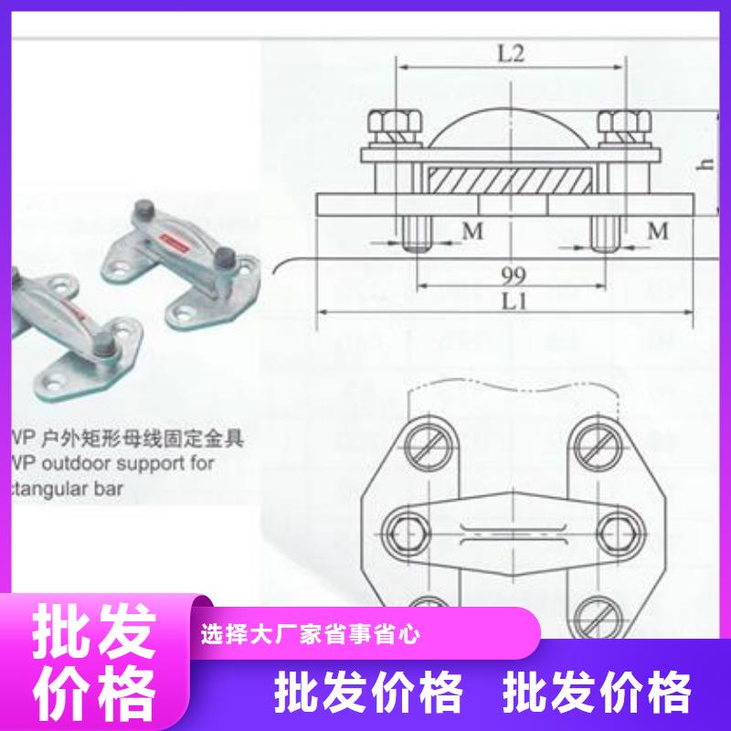 TMY-60*8高压母线樊高品质过硬