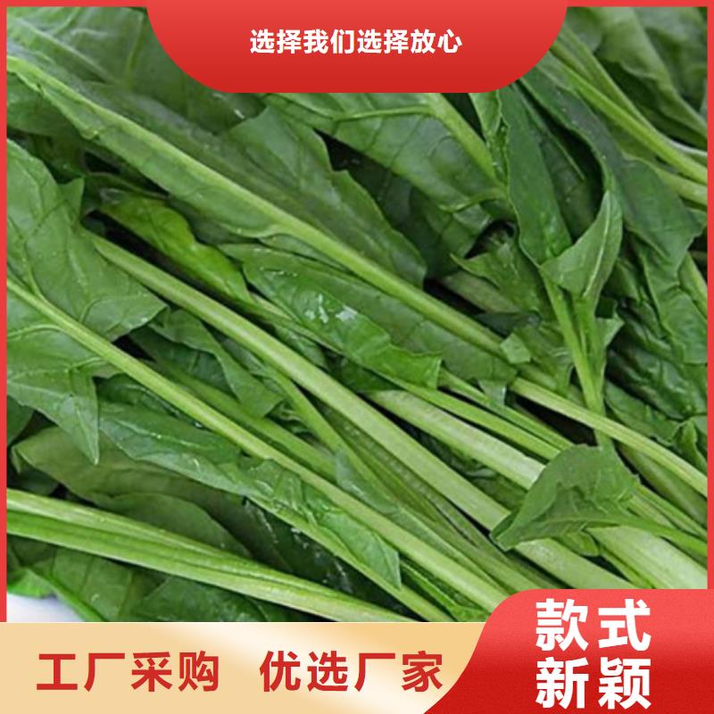 菠菜全粉常用指南同城制造商