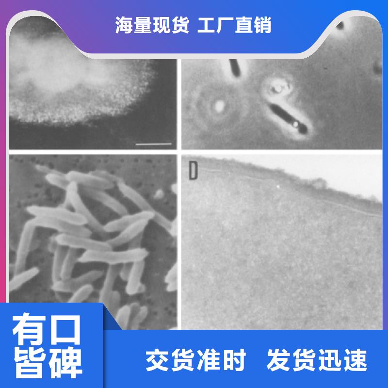 污水处理厂专用碳源品质放心价格有优势