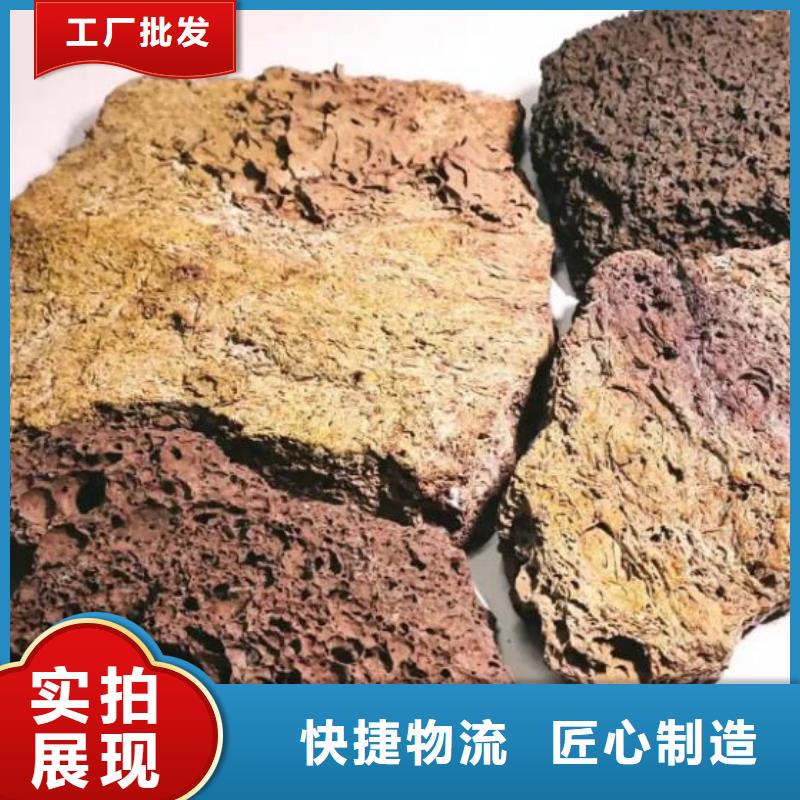 反硝化池用活山岩厂家直销{当地}制造商