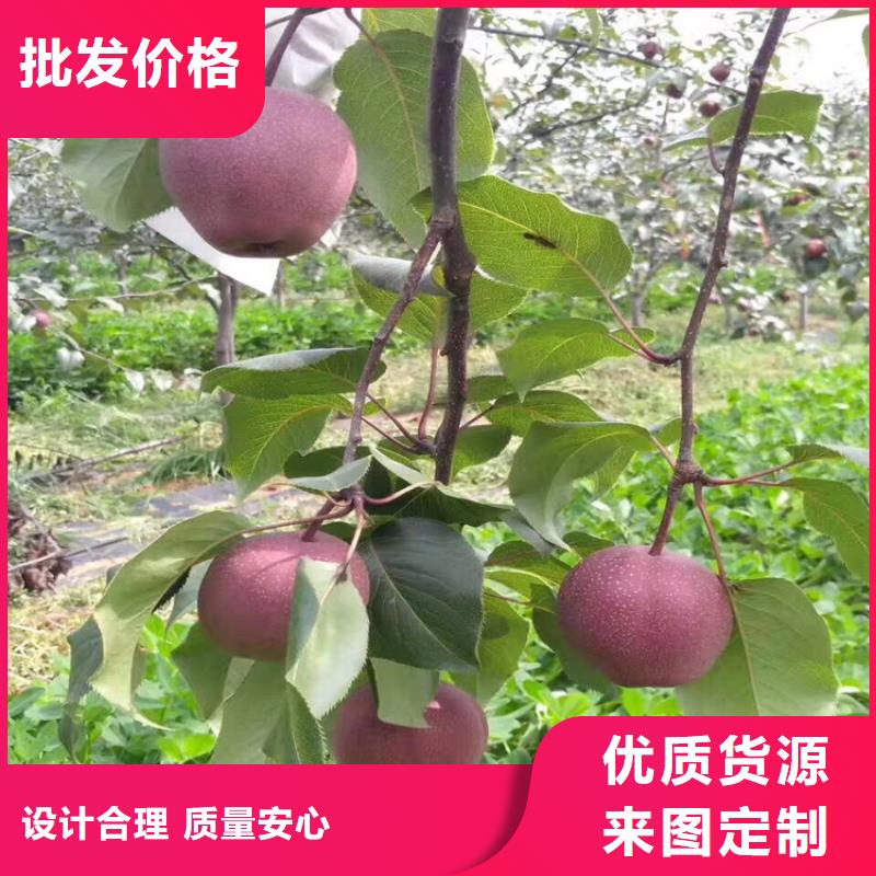 梨树【草莓苗】厂家直销供货稳定货到付款