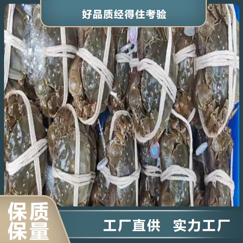 优质大闸蟹-大闸蟹厂家支持大小批量采购