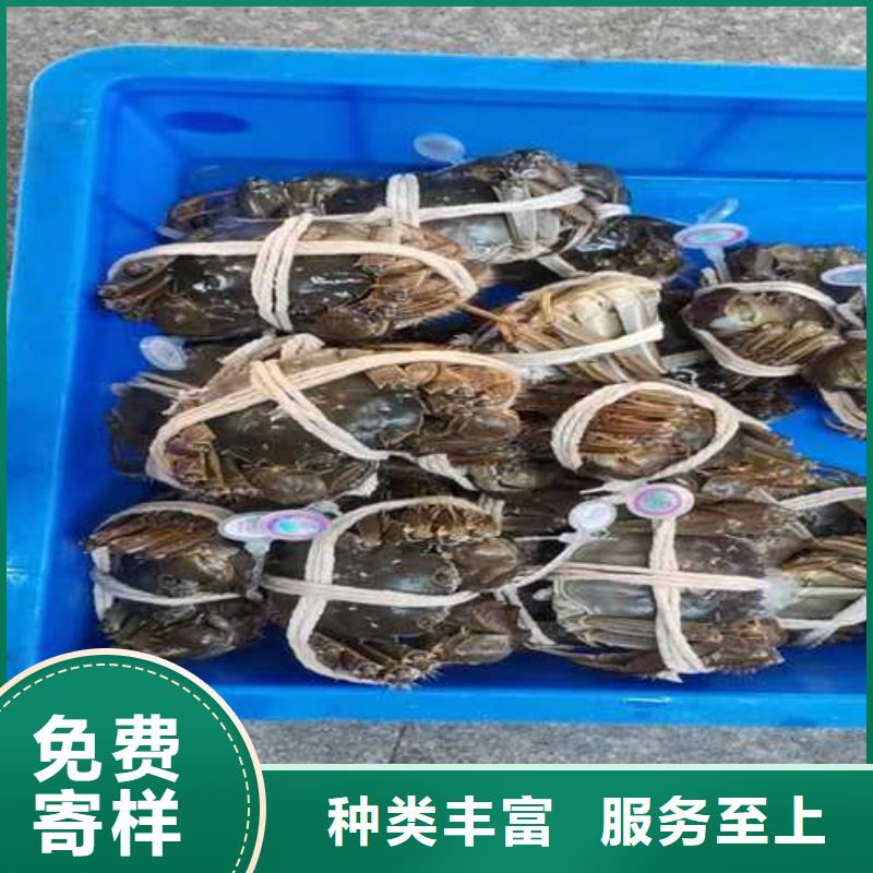 买大闸蟹礼盒认准阳澄湖镇莲花岛顾记大闸蟹经营部【本地】品牌