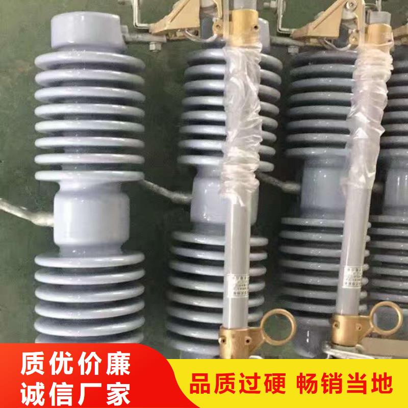 【熔断器】PRW12-10KV/100A有实力有经验