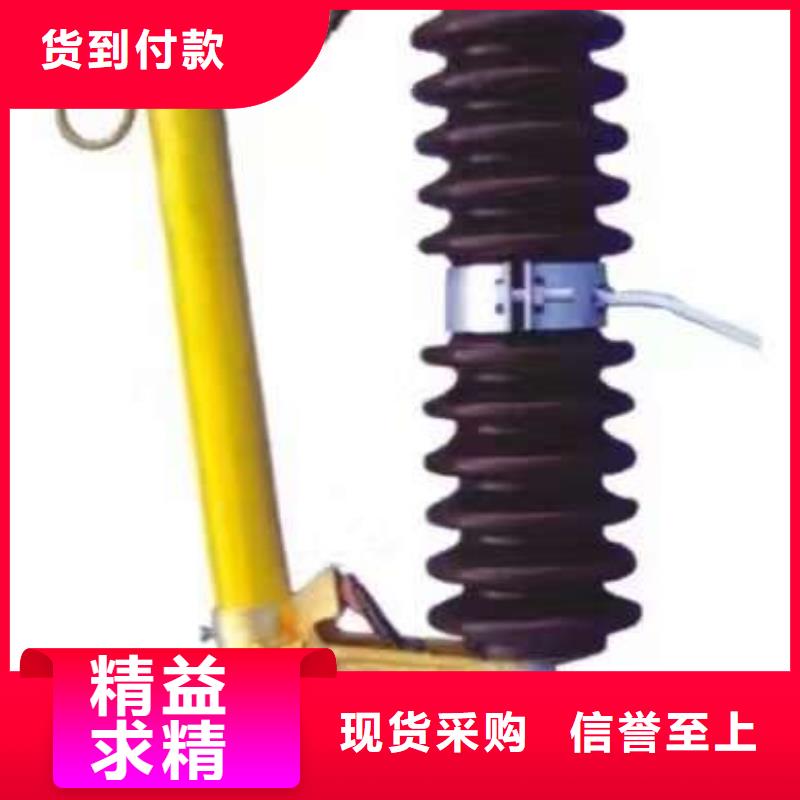 _避雷器YH5WS5-10/28【羿振电气】工厂直营