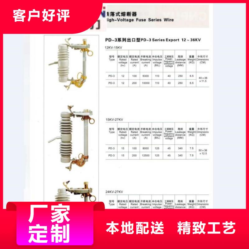 高压熔断器/HRW12-15KV/100【浙江羿振电气有限公司】产地货源