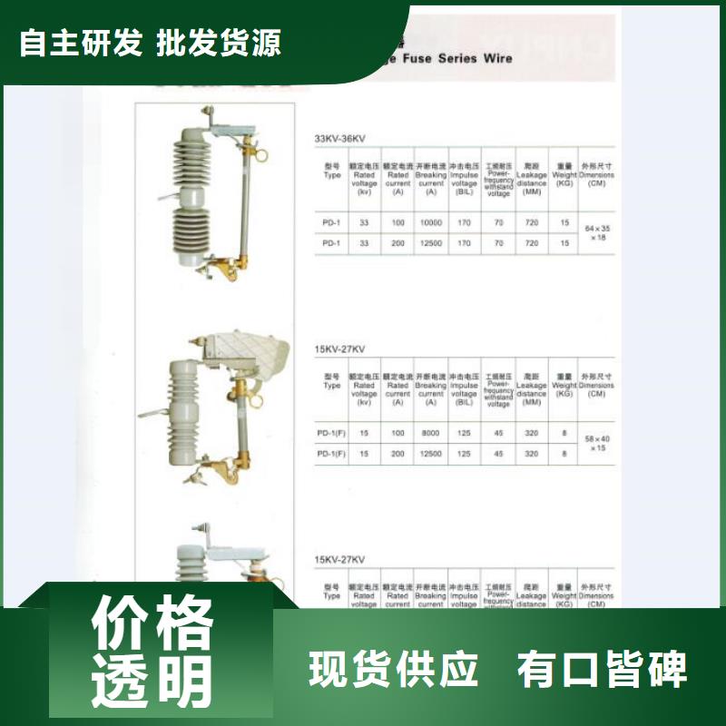 高压熔断器HPRW12-15KV/100[本地]货源