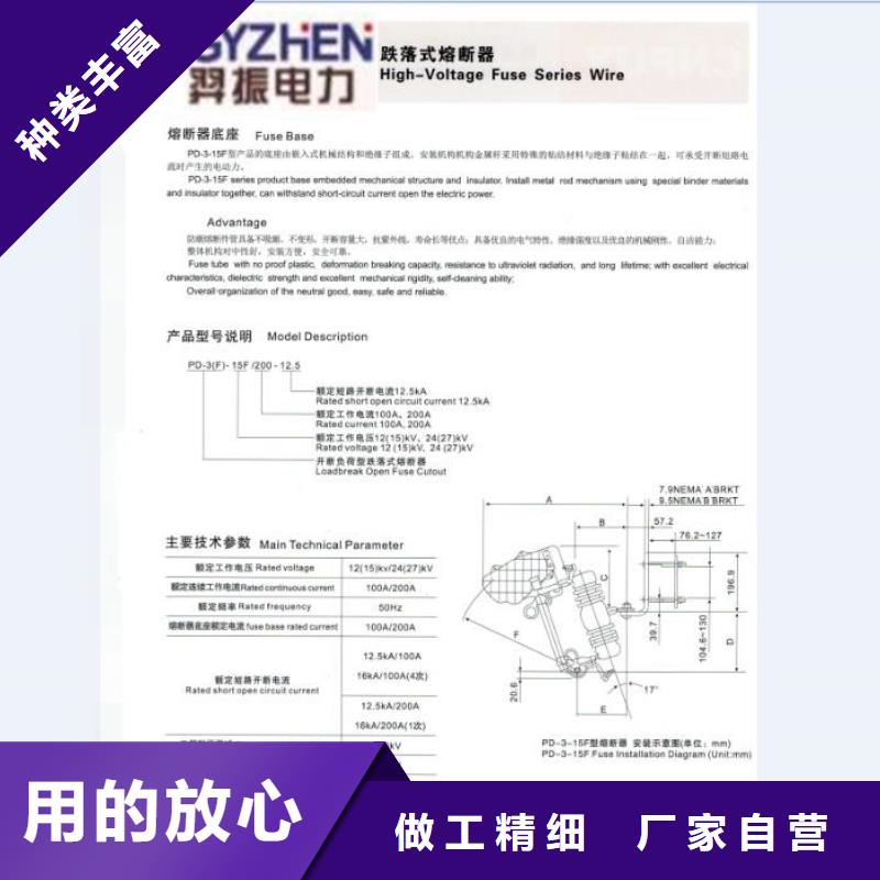 高压熔断器_RW12-10F/100A免费获取报价