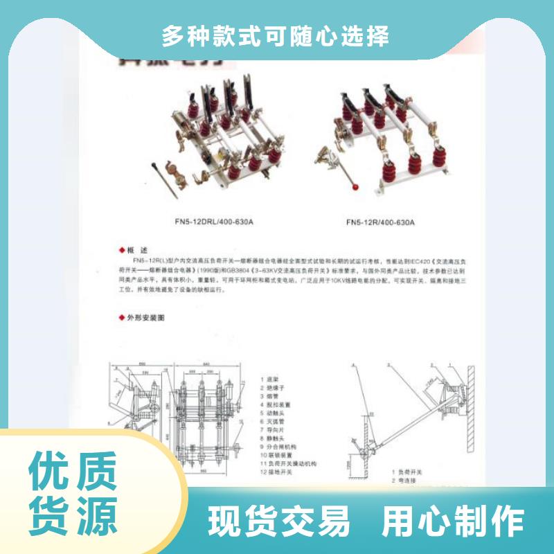 高压熔断器/RW-10/200A同城厂家