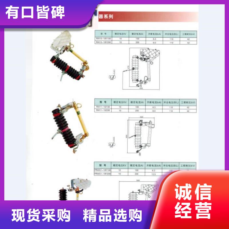 户外高压跌落式熔断器熔丝具RW12-12F/100A高品质诚信厂家