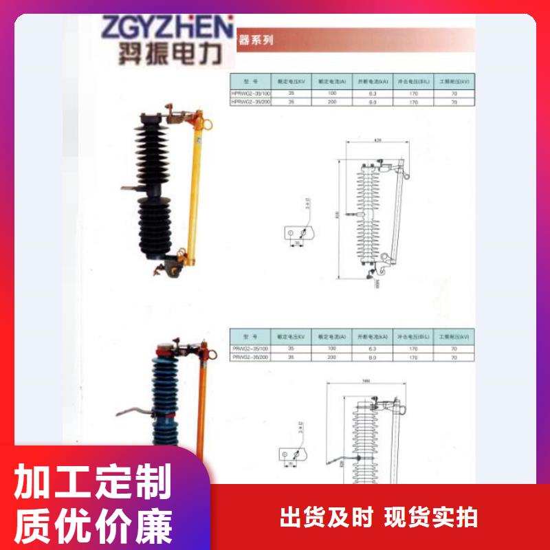 户外高压跌落式熔断器熔丝具RW12-12/100A附近生产商