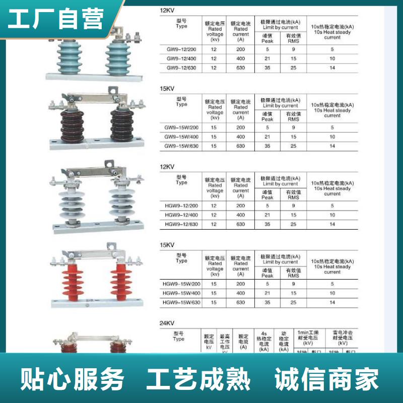 高压隔离开关_【真空断路器】专业按需定制厂家采购