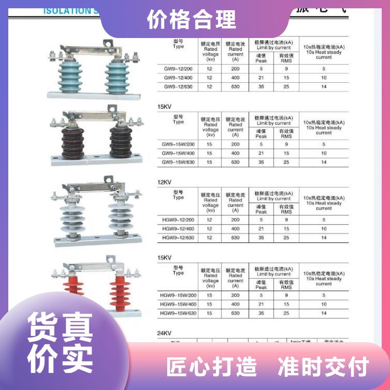 高压隔离开关-复合绝缘子专注细节更放心欢迎来厂考察