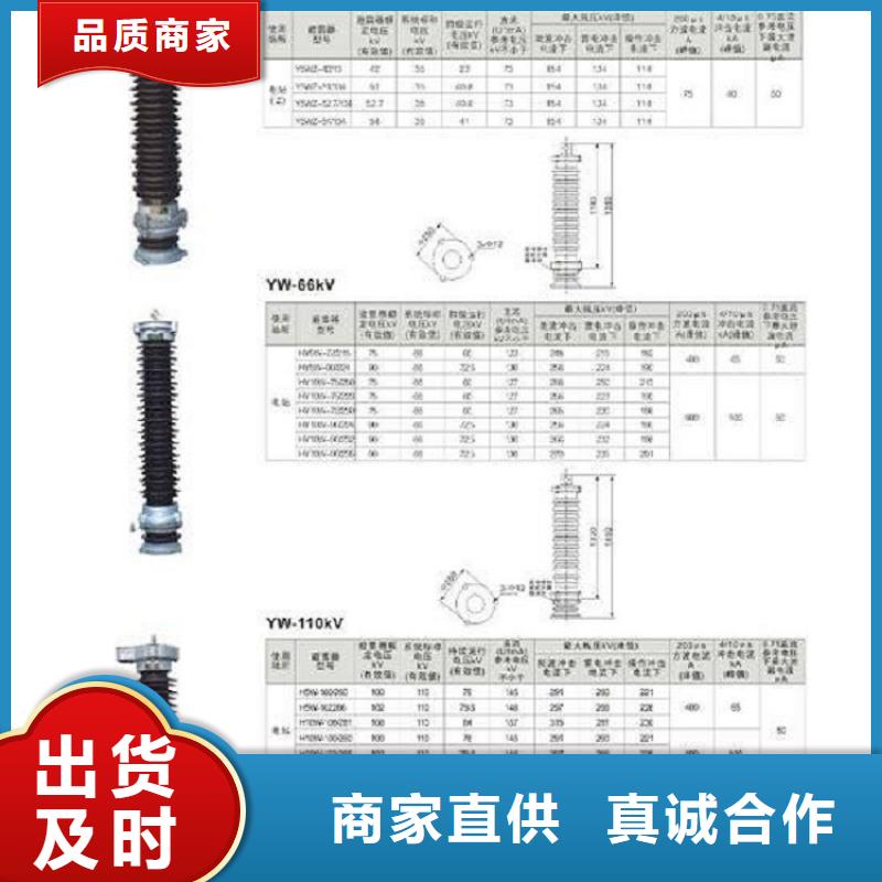 瓷外套金属氧化物避雷器Y10W-200/520生产厂家详细参数