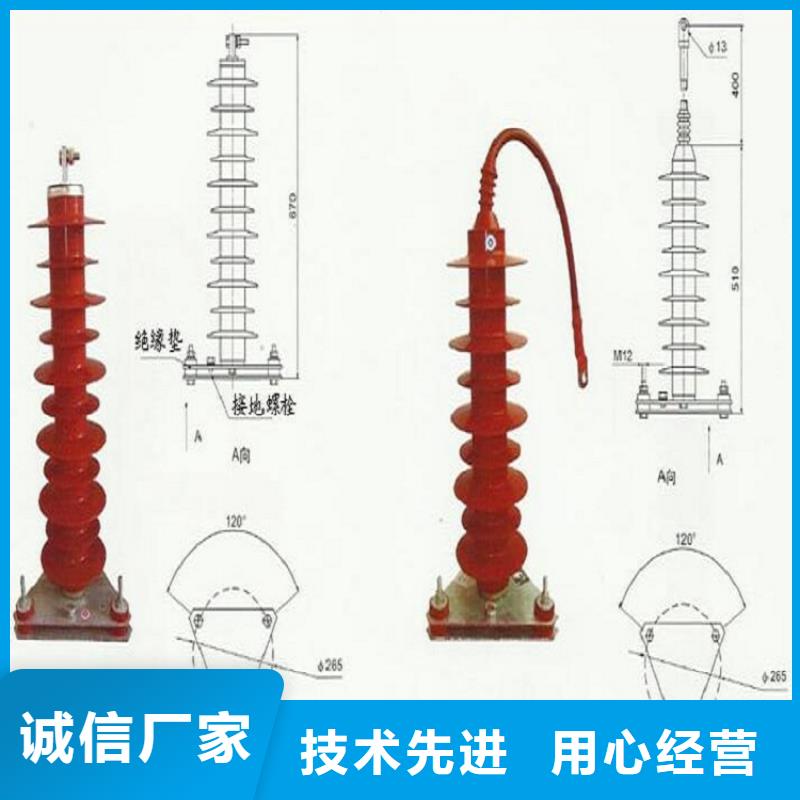 跌落式避雷器HY5WS-17/50TB-DL【羿振电气】品质有保障