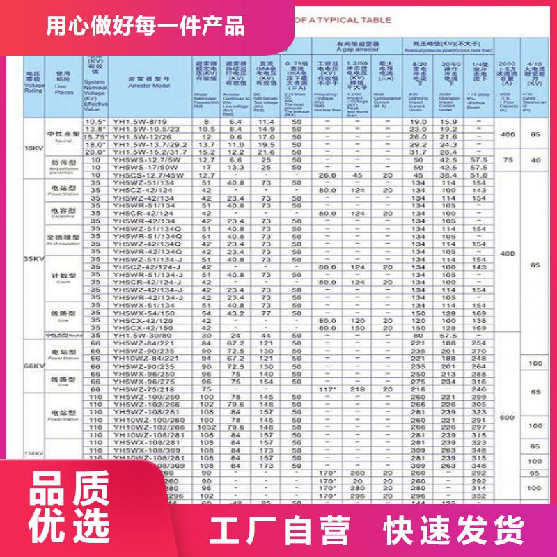 避雷器YH5WR5-48/120【羿振电气】<当地>供应商