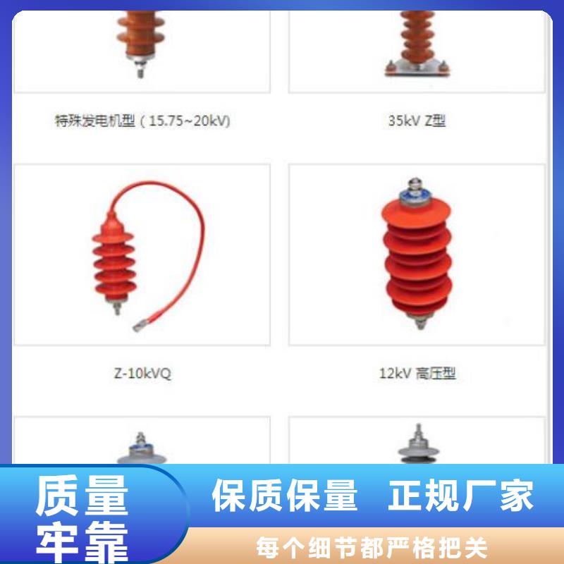 HY5WS-17/50金属氧化物避雷器【浙江羿振电气有限公司】{当地}制造商