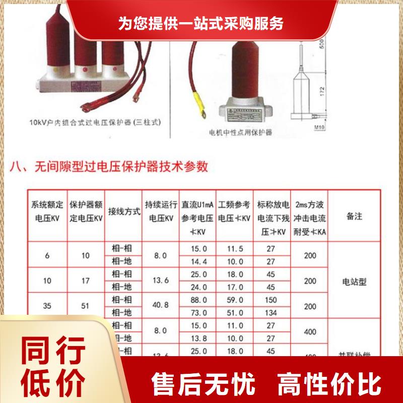 【】〖过电压保护器〗TBP-C-42/630W优惠报价当地供应商