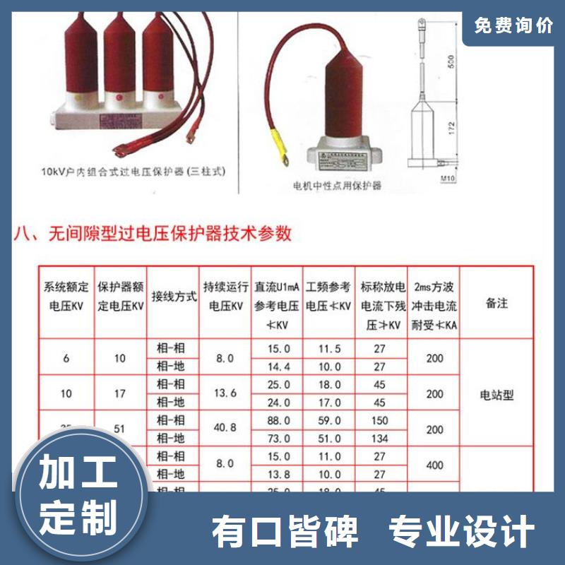 【】保护器(组合式避雷器)BSTG-C-17多种工艺