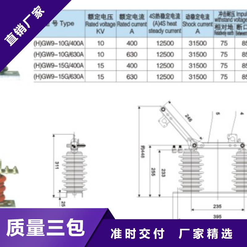 【隔离刀闸】HGW9-10-630本地品牌