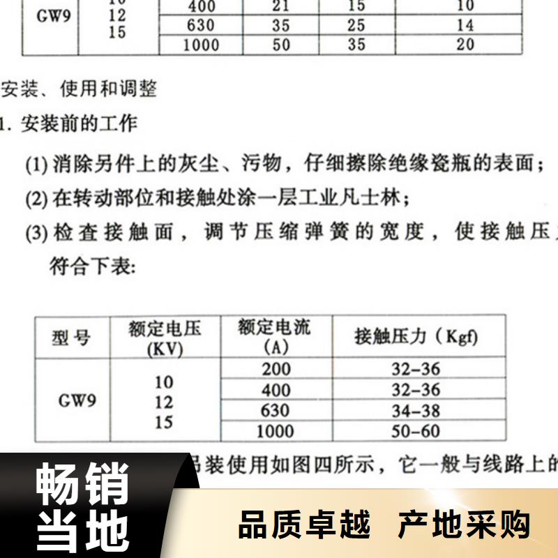 单极隔离开关HGW9-10W/200A欢迎电询专业生产厂家