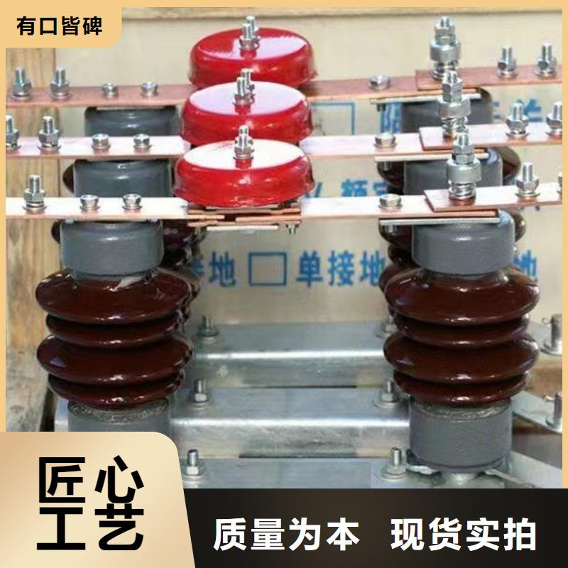 户外高压隔离开关HGW1-12KV/400A【本地】服务商