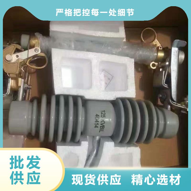 熔断器真空断路器正品保障海量现货