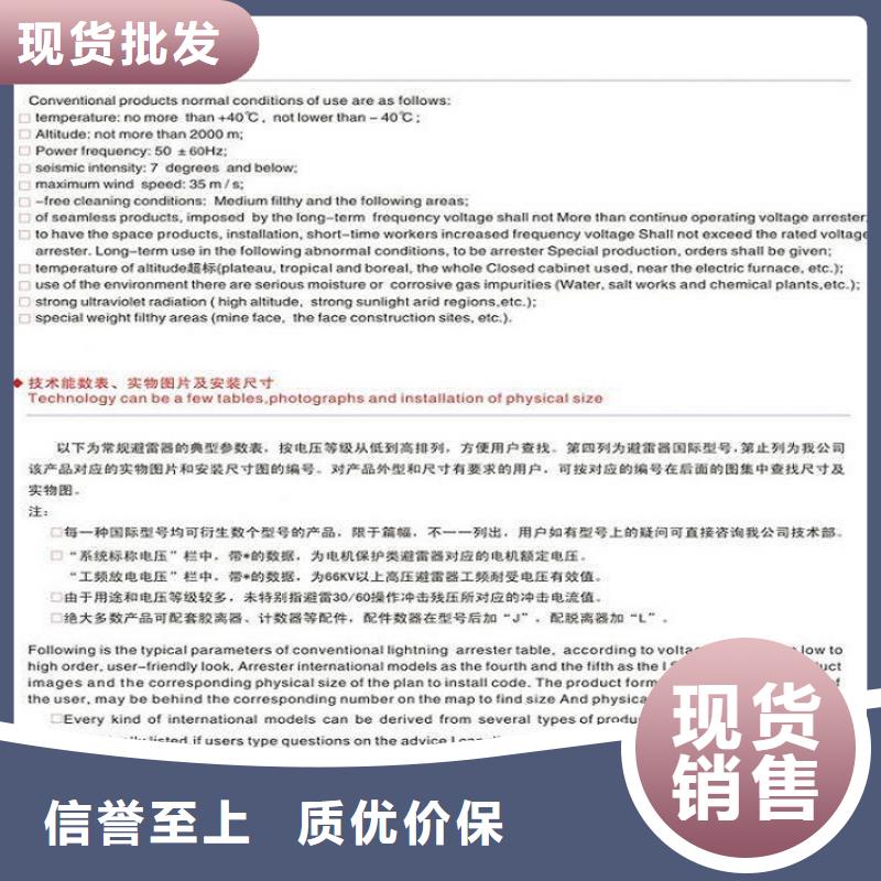 品牌：【羿振电力】避雷器Y10W-200/520[本地]服务商