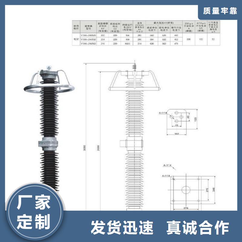 避雷器YH5WZ-51/134TLQ底座式，带放电计数器【羿振电力】匠心工艺